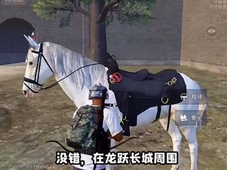 《和平精英》骑马玩法揭秘：马匹位置及详细骑马方法