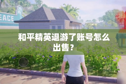  和平精英退游了账号怎么出售？ 第1张